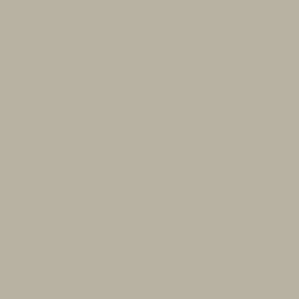 Sherwin-Williams Peel-and-Stick Paint Sample by Samplize - Silver Gray (0049) - Light Medium Neutral - Adhesive Backing, 9 X 14.75 in