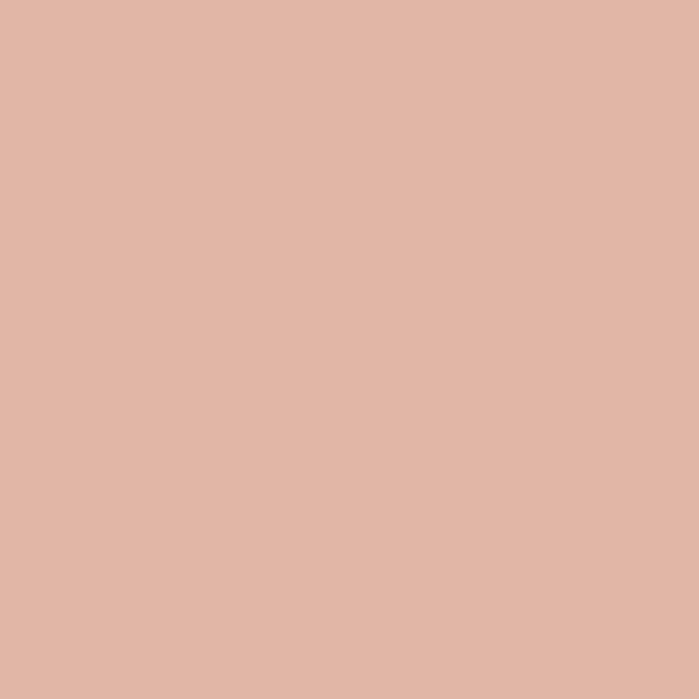 Sherwin-Williams Peel-and-Stick Paint Sample by Samplize - Smoky Salmon (6331) - Light Medium Red Pink - Adhesive Backing, 9 X 14.75 in