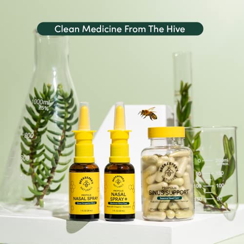 Beekeepers Naturals Xylitol Propolis Nasal Spray  1 Fl Oz - Pack of 2 thumbnail