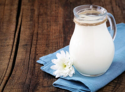 Plain Yogurt, Fat Free