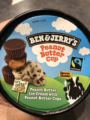 Peanut Butter Cup ICE CREAM