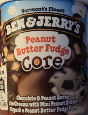 Peanut Butter Fudge Ice Cream