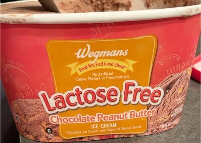 Lactose Free Chocolate Peanut Butter Ice Cream