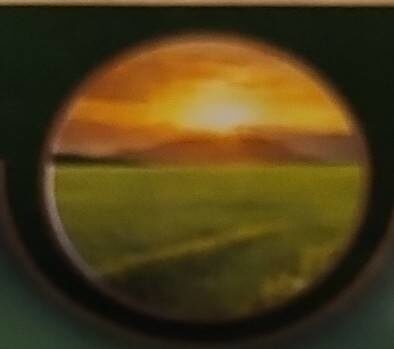 Extra Long Grain Basnati Rice