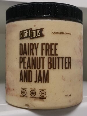Dairy Free Peanut Butter and Jam Ice Cream