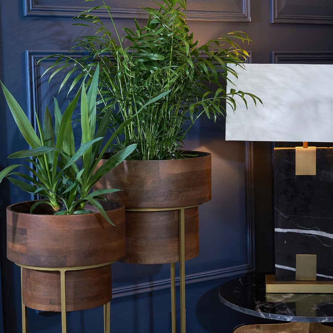 Palar Pair of Planters - RV Astley