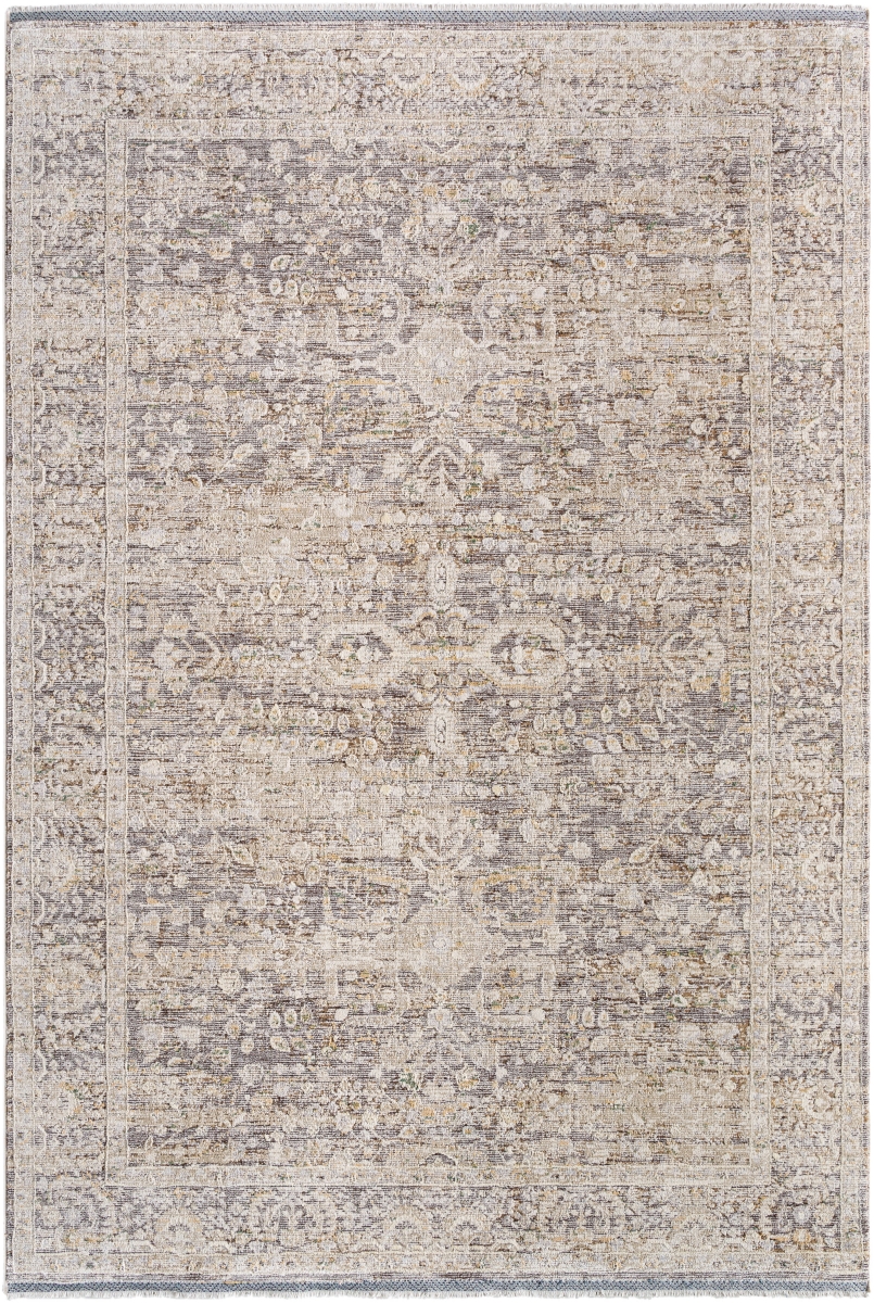 Rivaldo RVD-2312 Machine Crafted Area Rug