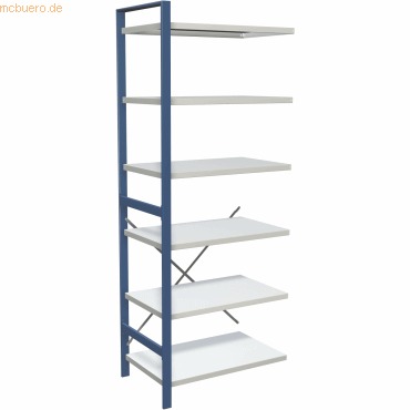 Magazin-Regal Status Regalfeld BxHxT 260x100x60cm 6 Böden Lichtgrau/blau