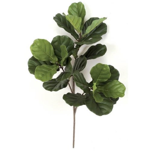 Autograph Foliages PR-4890 34 in. Fiddle Leaf Fig Spray - Tutone Green