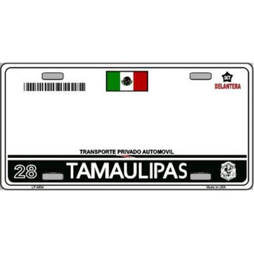 Smart Blonde LP-4804 Tamaulipas Mexico Novelty Background Metal License Plate