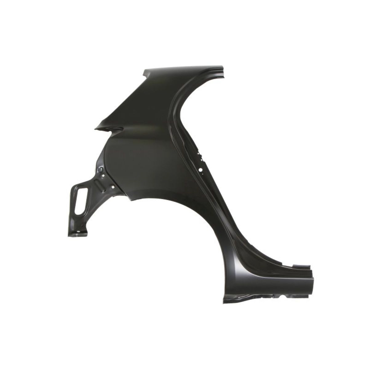 Hinterkotflügel BLIC 6504-01-8155514P