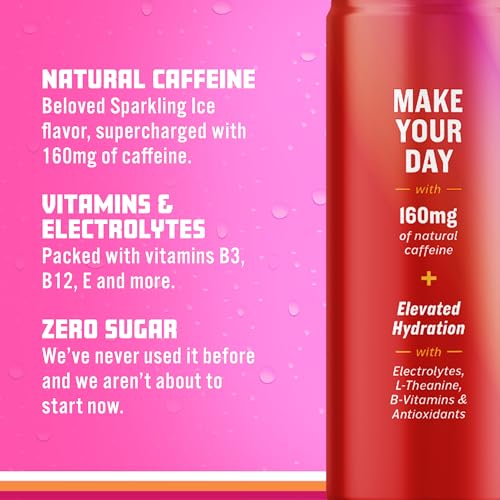 Sparkling Ice +ENERGY Power Punch Sparkling Water. Energy Drinks with Vitamins & Electrolytes, Zero Sugar, 12 Fl Oz Cans (Pack of 12) thumbnail