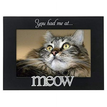 Malden International Designs 4964-46 Expressions You Had Me at Meow Black Wood Picture Frame  4x6  Black