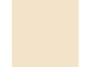 Rosco Cinegel #3443 Filter - 1/4 Straw CTS - 20x24