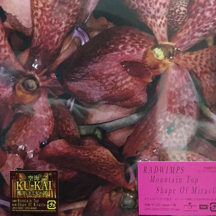 RADWIMPS / Mountain Top 7