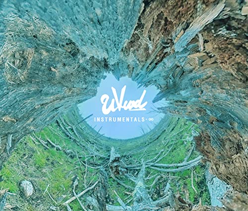 Instrumentals-∞