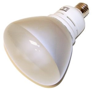 Sylvania 29363 CF20EL/BR40/3000K