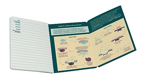 The Unemployed Philosophers Guild Paleontology: a Field Notebook - Passport-Sized Mini Dinosaur Journal thumbnail