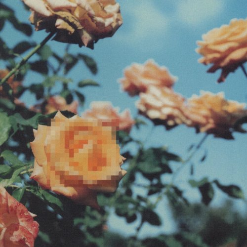 RELATION(ltd.paper-sleeve)(reissue)