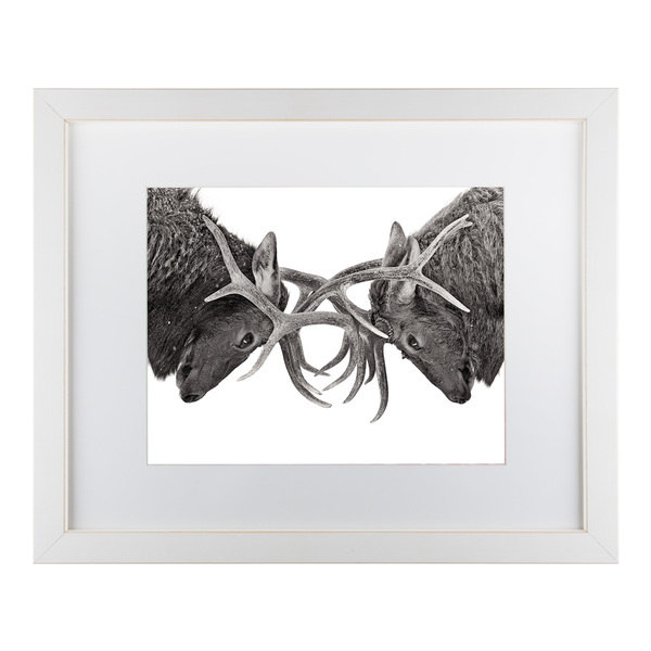 Jim Cumming 'Eye to Eye Elk Fight' Matted Framed Art - 20