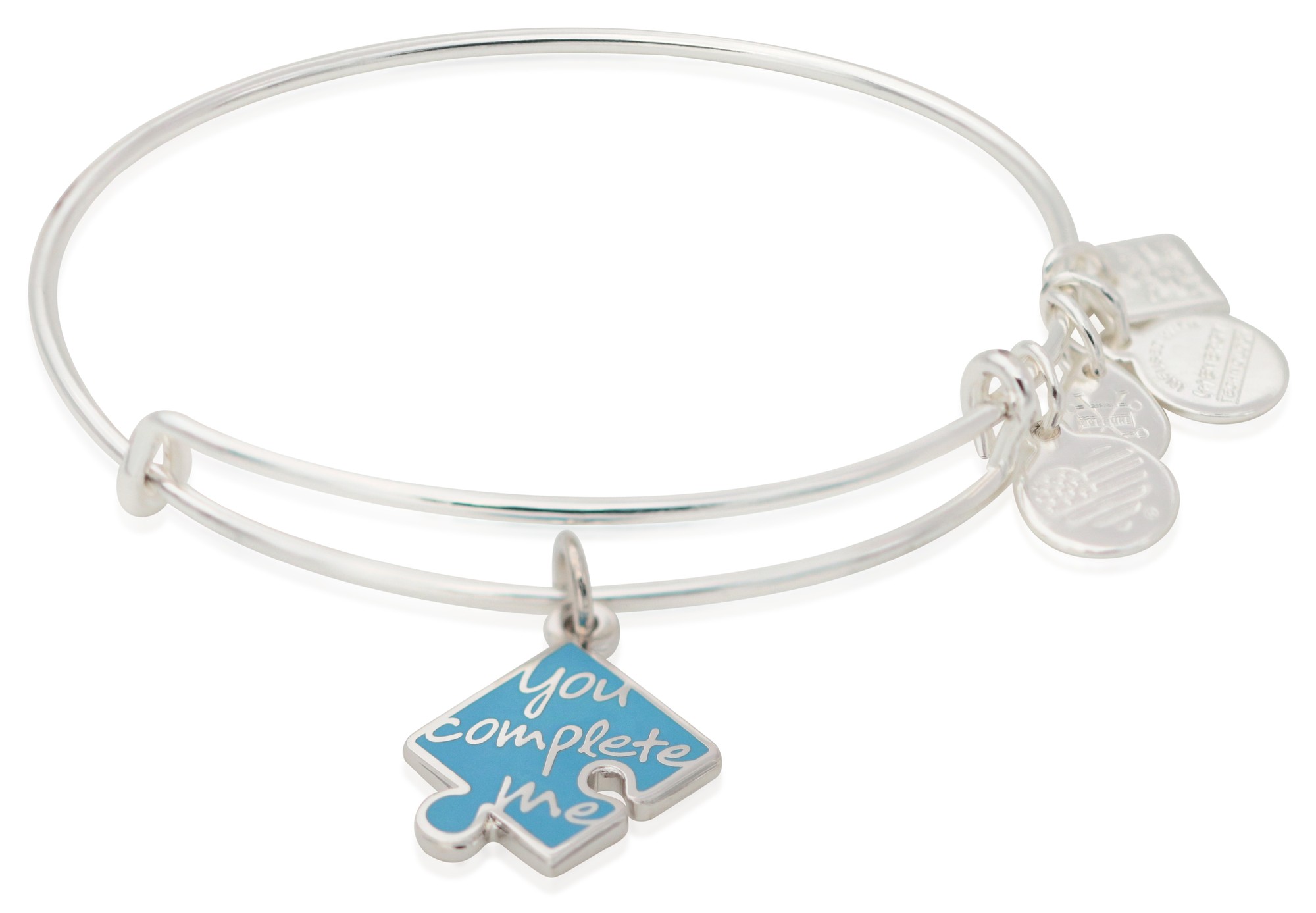 Alex and Ani You Complete Me Charm Bangle - National Autism Association - CBD18YCM01SS
