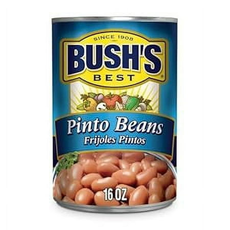 BUSH S BEST Pinto Beans  16 Ounce Can  Canned Beans  Pinto Beans Canned  Source of Plant Based Protein and Fiber  Low Fat  Gluten Free  for Soups  Sal