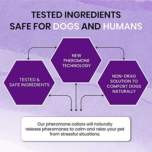 Royce Naturals 4 Pack Calming Collar for Dogs, Pheromone Breakaway Dog Collar, Separation Anxiety Relief for Dogs, Purple, (PETCOL01-3PP)