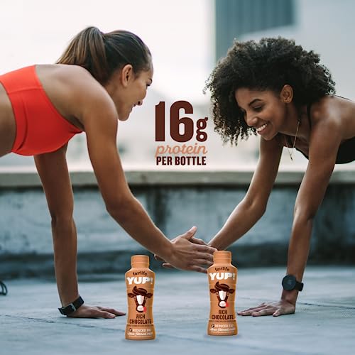 Fairlife YUP! Rich Chocolate Flavor 16g Protein - All Natural Flavors, Low Fat Ultra Filtered Milk Rich, 14oz Bottle (Pack of 12) by World Group Packi thumbnail