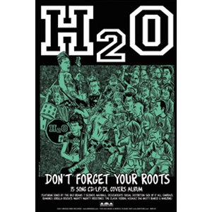 H20 Concert Promo Poster