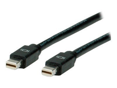 ROLINE DisplayPort Kabel, Mini DP ST - Mini DP ST 2,0m (11.04.5640)