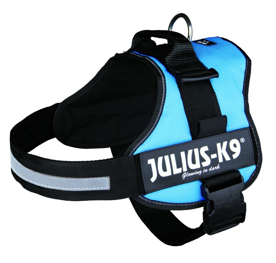 Julius-k9Â® Powerharness, 3/xl: 82â116 Cm/50 Mm, Aquamarine - Harness Dog K9 -  Harness Dog K9 Power Julius Puppy Aquamarine 3 Xl Harnesses Jul