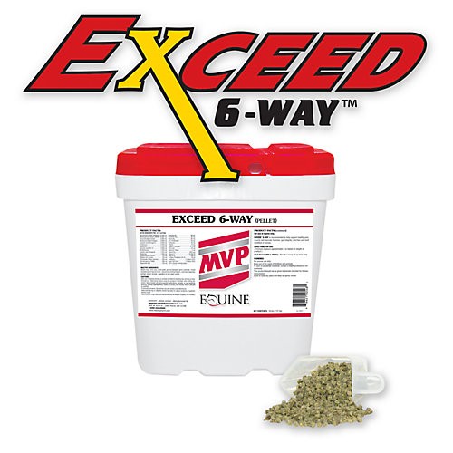 Med-Vet Pharmaceuticals Exceed 6-way 16lb