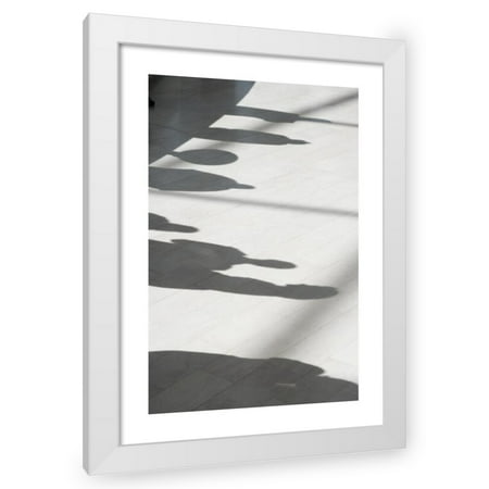 Nature and Science 18x28 White Modern Wood Framed Wall Art Titled - Usdagov 22888264235 20151104-Osec-Lsc-0700