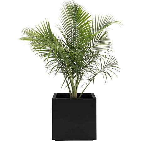 Black Square Planter Large Outdoor  Indoor | Seeley Cube Box 20  Inch Best Tall Plastic Heavy-Duty Small Tress  Plants  Bushes Contemporary Architectu