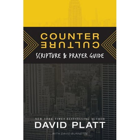 Counter Culture Travel Guide : a 30-day Tour of Christ S Response to Today S Culture 9781496422750 Used / Pre-owned