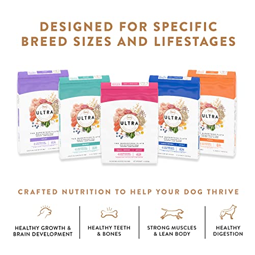 NUTRO ULTRA Adult Toy Breed High Protein Natural Dry Dog Food with a Trio of Proteins from Chicken, Lamb and Salmon, 4 Lb. Bag thumbnail