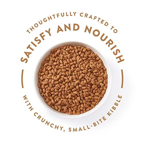 NUTRO ULTRA Adult Toy Breed High Protein Natural Dry Dog Food with a Trio of Proteins from Chicken, Lamb and Salmon, 4 Lb. Bag thumbnail