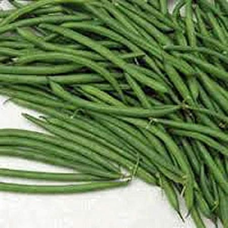 Burpee Stringless Green Bush Bean - 25 Count Seed Pack - Non-GMO - a Culinary Star  Pods Are Delicious in Many Foods. - Country Creek LLC