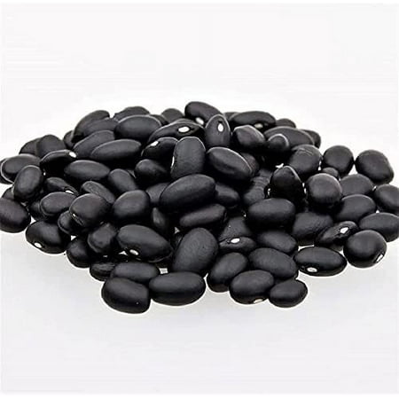 Bean Seed  Black Turtle Bush Bean  Heirloom  Non GMO  50 Seeds  Terrific Black Beans