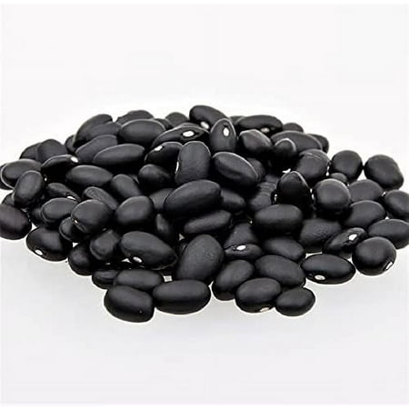 Black Turtle Bush Bean Seeds - 100 Count Seed Pack - Superbly Tasty and Produces High Yields - Country Creek LLC