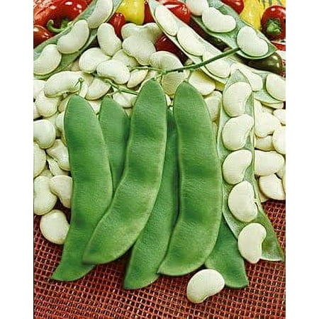 Heirloom Henderson S Bush Lima Butter Bean Seeds - 1 LB