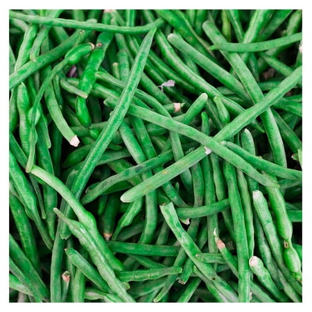 Jade Bush Bean Seeds (Treated) - 5 Lb - Non-GMO  Heirloom Green Bean Seeds - Vegetable Garden Seeds