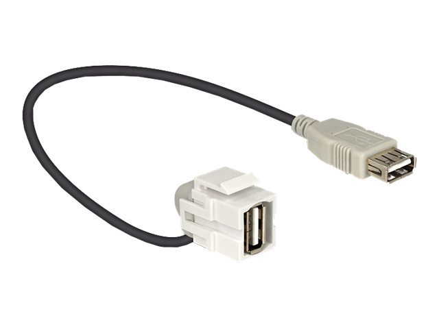 DeLOCK - Modulare Eingabe - USB Type a (86327)