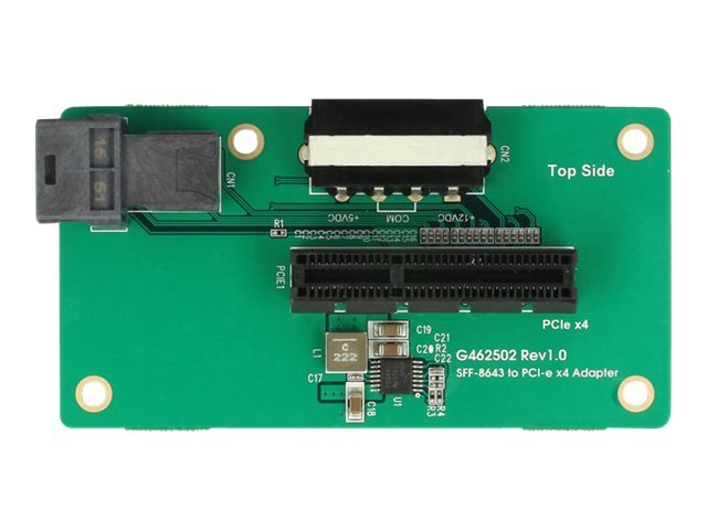 DeLOCK Adapter SFF-8643 > PCIe X4 - Interne Bus-Erweiterung (62788)