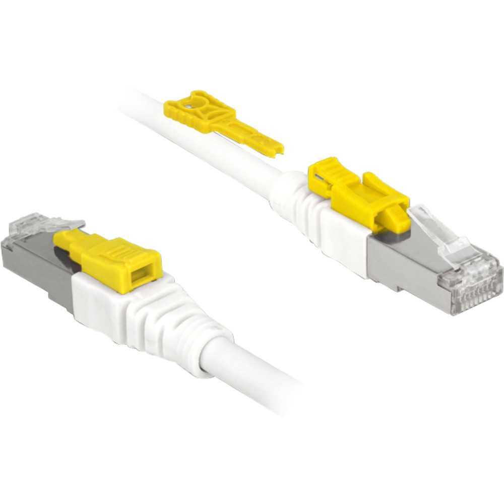 DeLOCK Secure - Patch-Kabel - RJ-45 (M) Bis RJ-45 (M) - 1,0m - STP - CAT 6a - Halogenfrei - Weiß (85331)