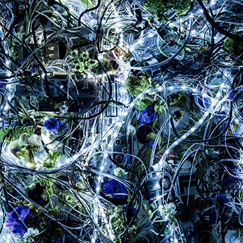 Aimer - Ninelie Ep [Japan CD] SECL-1884