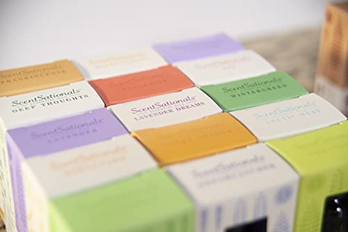 Scentsationals Refreshing Essential Oil Blend - Sweet Mint - 100% Pure Natural Aromatherapy, Home Oil, Aroma Spa - 15mL Bottle thumbnail