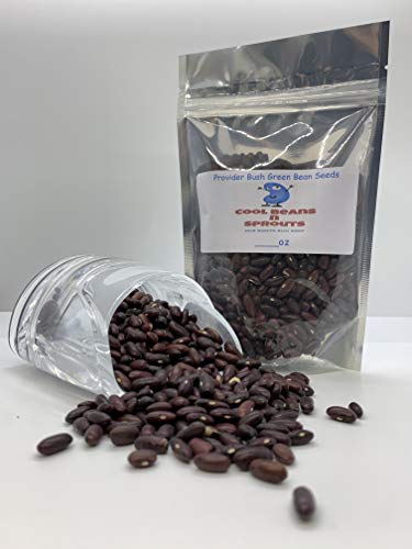 Provider Bush Bean Seeds. 12 Ounce a Garden Favorite, Early Producer and Heavy Yielding Bean. 