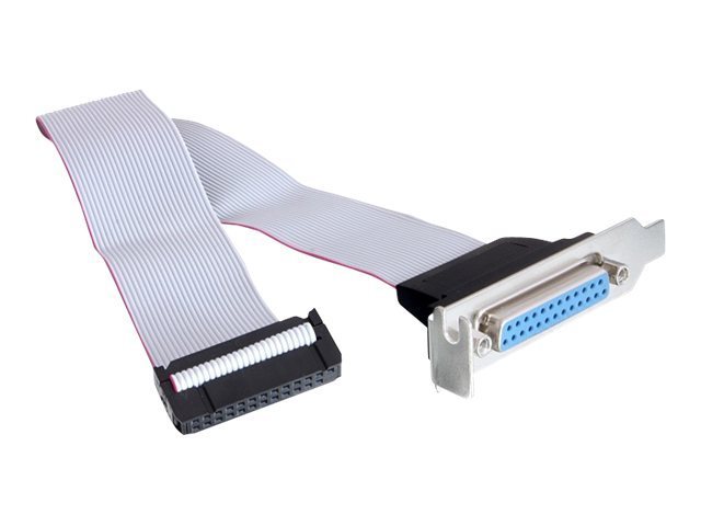 DeLOCK Slotblech/Parallel Flat