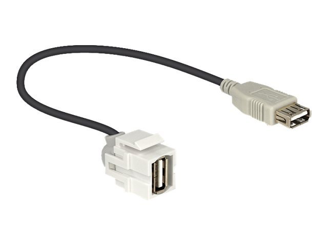 DeLOCK - Modulare Eingabe - USB Type a (86329)